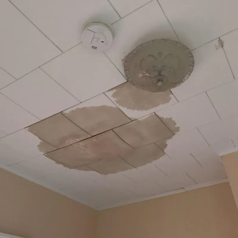 Ceiling Water Damage Repair in McMurray, PA