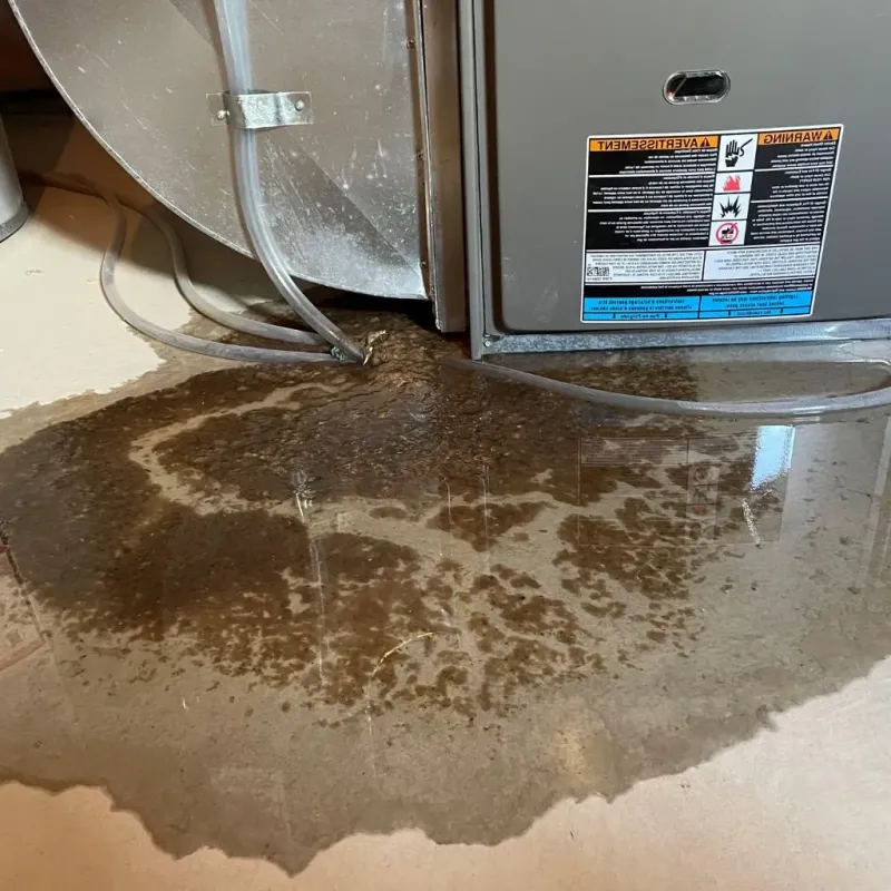 Pipe Burst and Leak Restoration in McMurray, PA